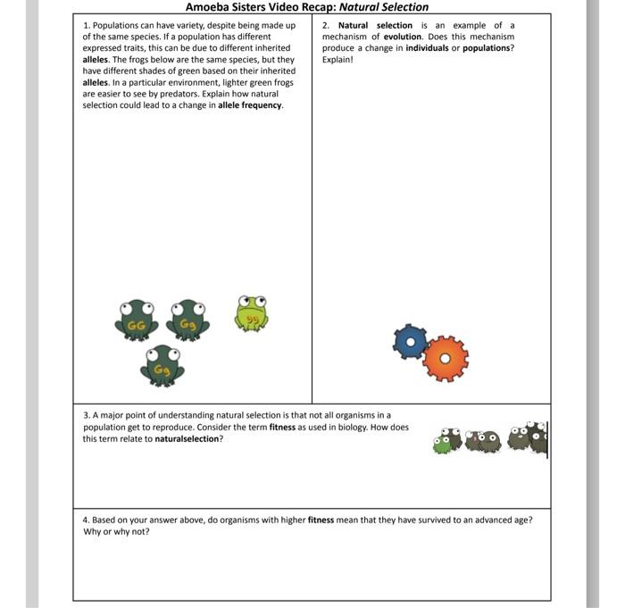 Natural selection amoeba sisters answer key