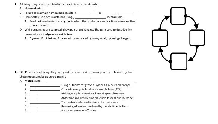 Regents review packet living environment