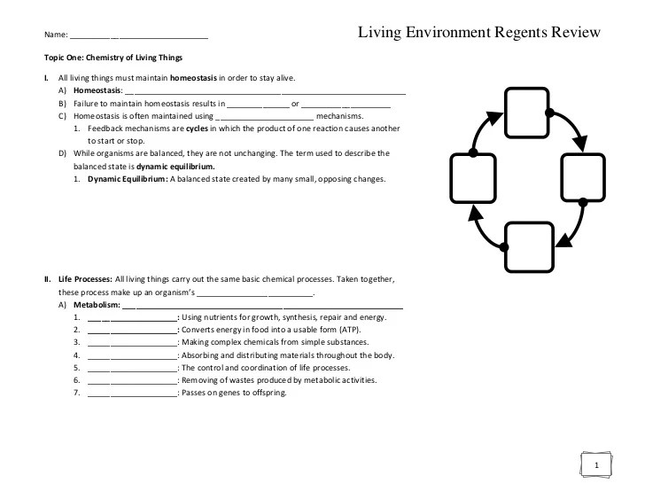 Regents review packet living environment