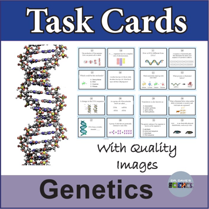 Dna task cards answer sheet