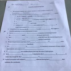 Exploring the scientific method worksheet answer key