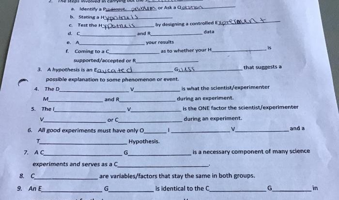 Exploring the scientific method worksheet answer key