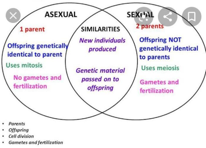 Reproduction asexual sexual worksheet chart biology science classroom teaching school answers grade meiosis mitosis resources lessons genetics anchor 7th lesson