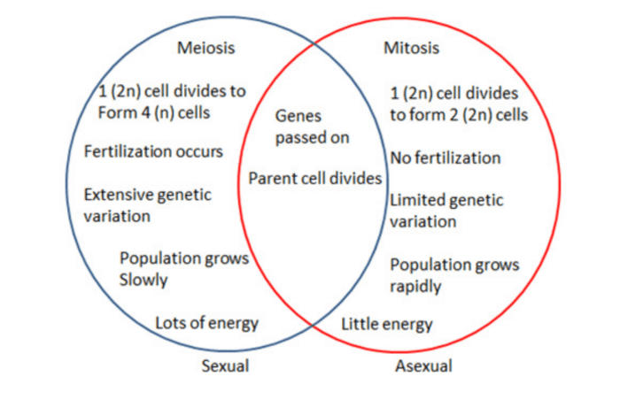 Venn diagram of sexual and asexual reproduction