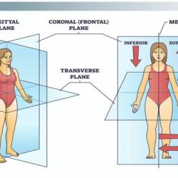 Movements planes positions directions