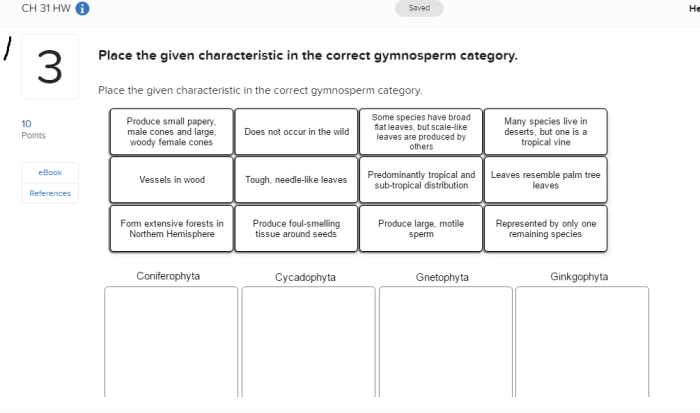Given correct gymnosperm characteristic category place transcribed text show